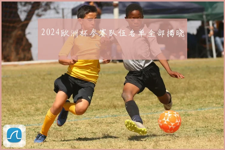 2024欧洲杯参赛队伍名单全部揭晓