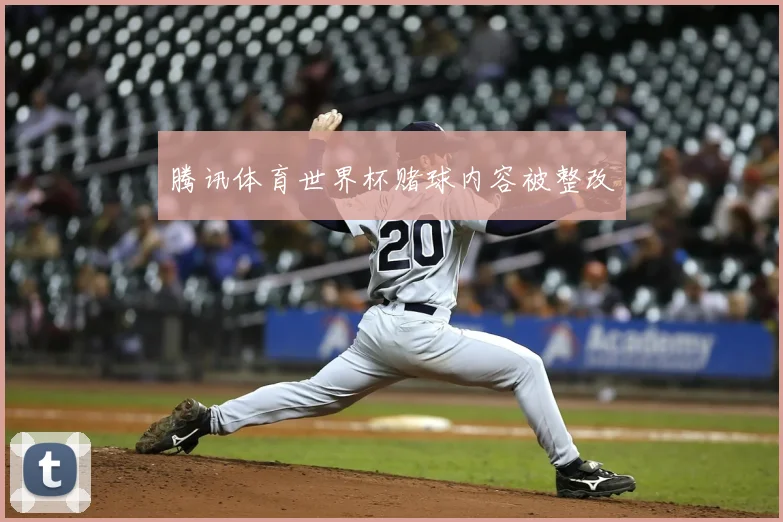 腾讯体育世界杯赌球内容被整改